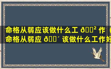 命格从弱应该做什么工 🌲 作（命格从弱应 🐴 该做什么工作好）